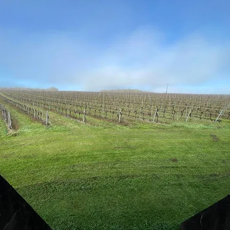 Domaine De La Verrieres (Charente)