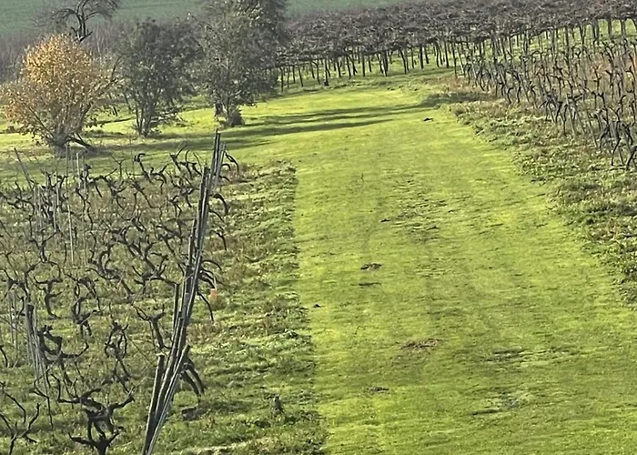 Alojamento de Acomodação e Pequeno-almoço Domaine De La Verrieres (Charente)